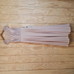 Alexander By Daymor NEW Pink Embroidered Chiffon Maxi Dress Size 6 #955